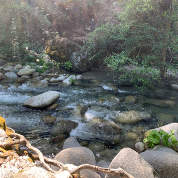 Meet your Posher, Jacqueline - Picture 1 of 1